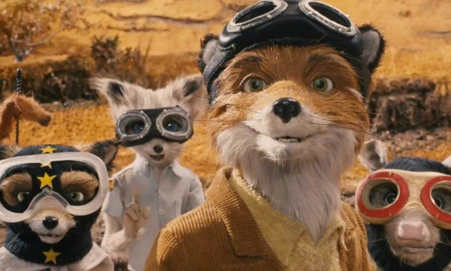 Family Movie Night:  Fantastic Mr. Fox