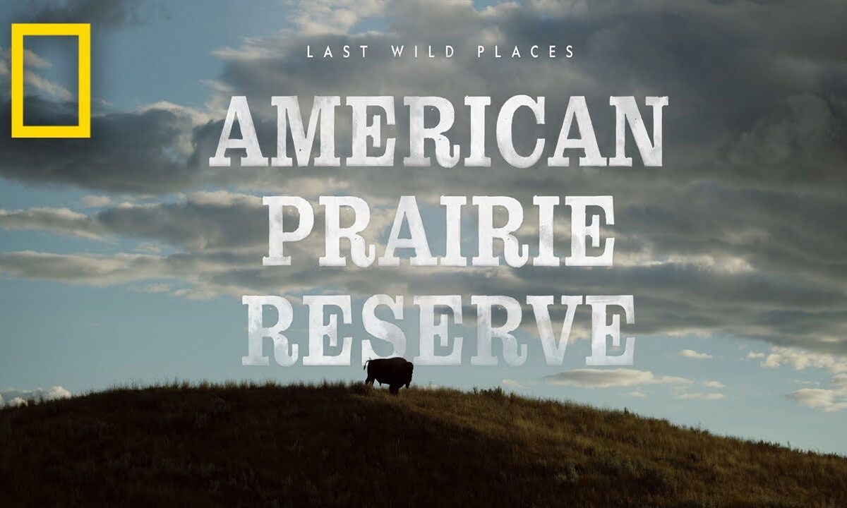 NEA Big Read Presents: Short Films and Rich Conversation with American Prairie